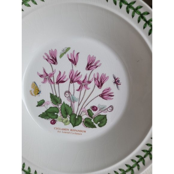 Portmeirion Botanic Gardens AS IS Ivy Leaved Cyclamen 8" soup salad bowl‎ - Picture 3 of 10
